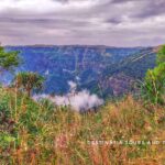 WhatsApp Image 2024-12-26 at 6.49.02 PM