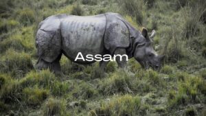 Assam - Gateway to the Northeast