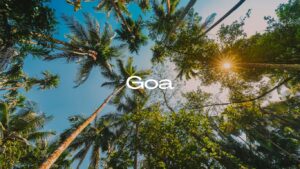 Goa – Beaches, Churches & Nightlife