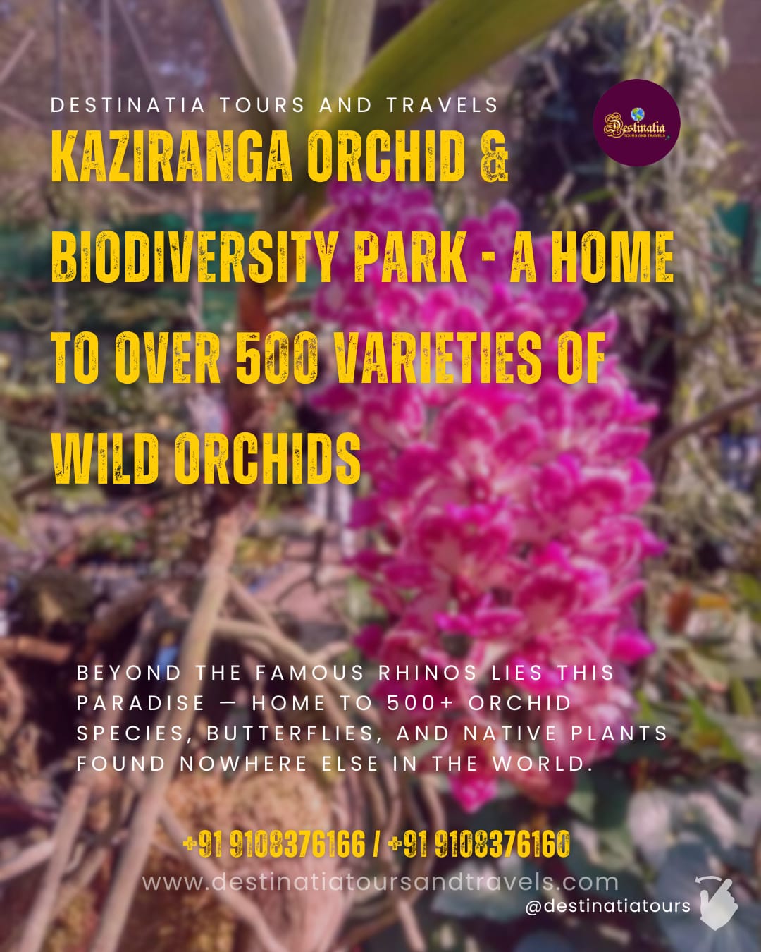 kaziranga-orchid-park-destinatia-tours