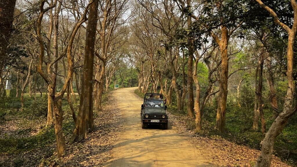Kaziranga-Jeep-Safari